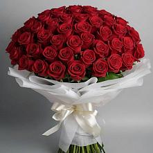 Букет 101 Красная роза Блэк Мэджик в Федурново